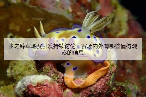 张之臻草地赛引发持续讨论，赛场内外有哪些值得观察的信息（BANDAOSPORTS）